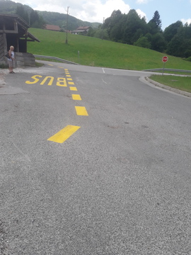 Tana signalizacija (1)